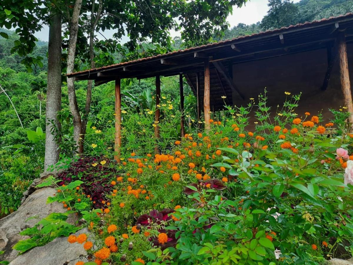 Silver Hill Ecovillage คูรูเนกาลา ภายนอก รูปภาพ