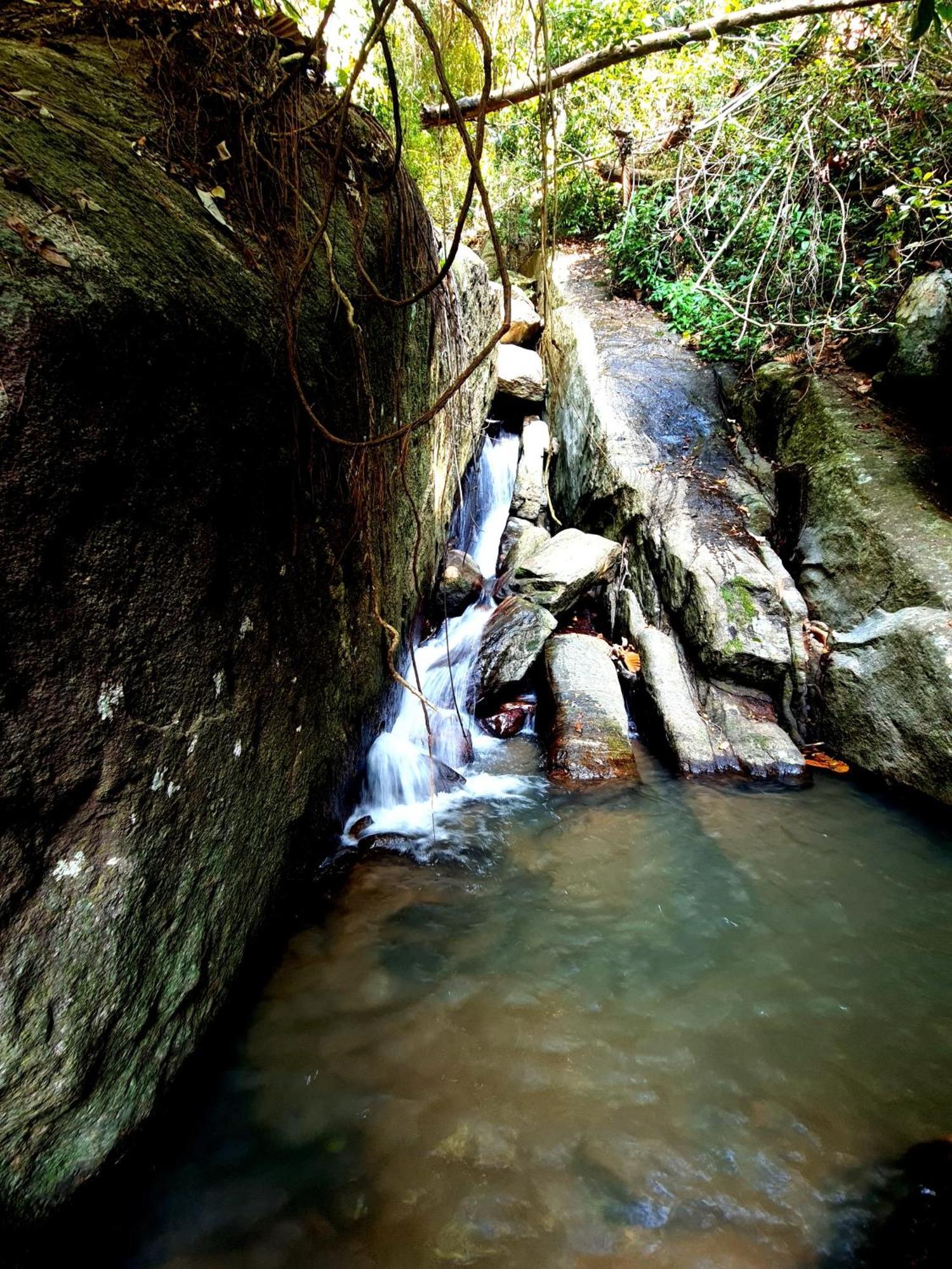 Silver Hill Ecovillage คูรูเนกาลา ภายนอก รูปภาพ