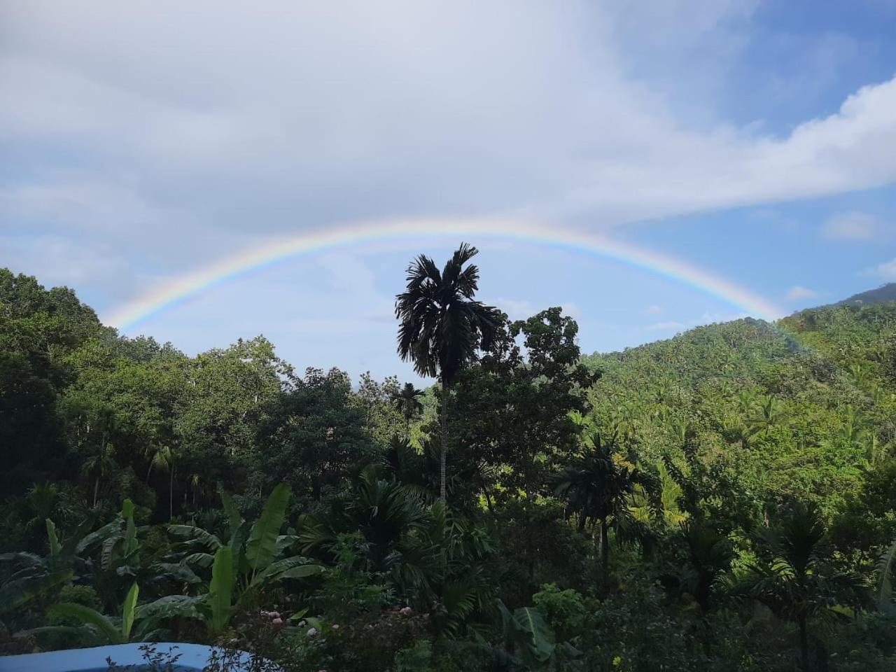 Silver Hill Ecovillage คูรูเนกาลา ภายนอก รูปภาพ