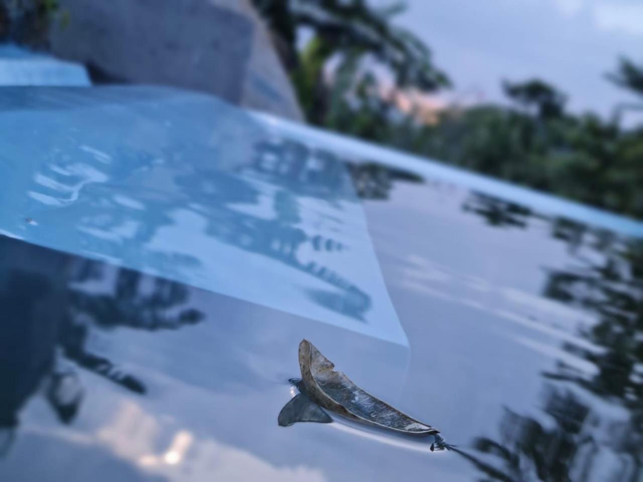 Silver Hill Ecovillage คูรูเนกาลา ภายนอก รูปภาพ